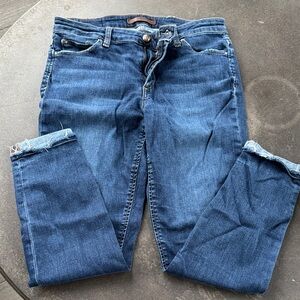 Joe's Jeans Dark Blue Skinny Women's Jeans